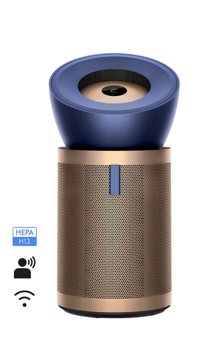 Dyson Dyson Big Quiet Formaldehyde